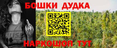 МДПВ Чапаевск