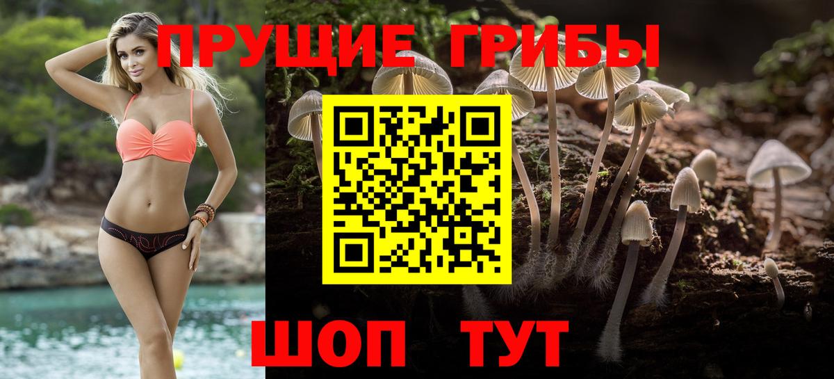 Нефтекамск  Галлюциногенные грибы прущие грибы  Вход с VPN  Псилоцибиновые грибы мухоморы 